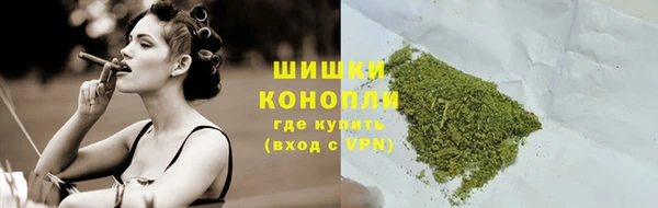 бошки Белокуриха